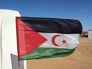 Nacionalidad española de los saharauis: comentario a la sentencia del Tribunal Supremo 207/2020
