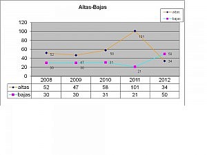 MEMORIA 2012 ICAVALLADOLID