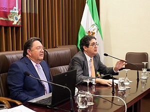 Jornada en el Colegio de Sevilla sobre la jurisprudencia en materia de Participaciones Preferentes