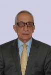 Evangelos Tsouroulis, Presidente CCBE 2013