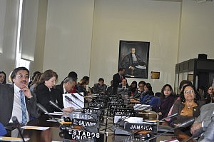 Reunion OEA 21 marzo