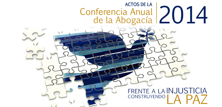 video Conferencia Anual 2014