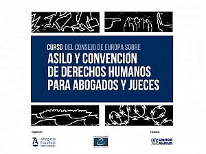 La Abogacía denuncia la crisis migratoria ante las Instituciones Europeas