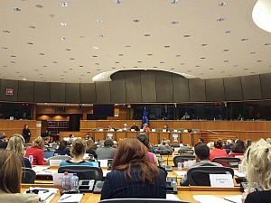 Respeto a la Democracia, a los Derechos Fundamentales y al Estado de Derecho