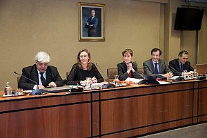 El Pleno del Consejo aprueba la nueva estructura y los cargos propuestos por la presidenta