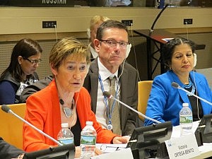 La presidenta de la Abogacía critica en la ONU el acuerdo sobre refugiados entre la UE y Turquía por “vulnerar la legalidad internacional”