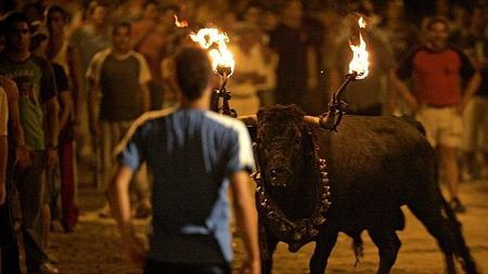 Los animales en espectáculos públicos. Especial referencia a los toros en Cataluña