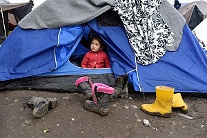 La Abogacía Española participa en un proyecto europeo para prestar asistencia jurídica a refugiados en la isla griega de Lesbos