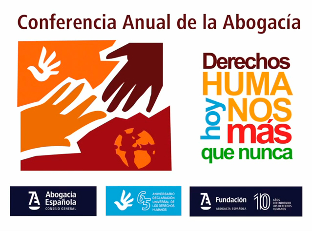 video Conferencia Anual 2013