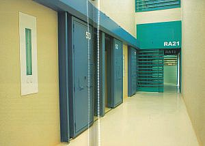 ¿Se prohíbe la reinserción para los condenados por delitos de naturaleza sexual?