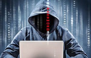 El pájaro está en el nido