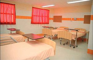 La enfermedad en prisión y su tratamiento y la enfermedad como causa de excarcelación