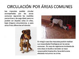 AREAS COMUNES PERROS