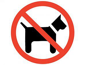 PERROS PROHIBICION