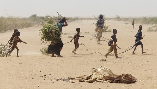 Los refugiados climáticos