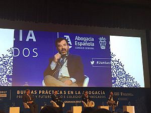 Expertos debaten en Granada sobre servicios y competencias de los Colegios Profesionales