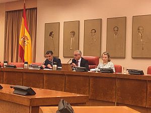 El vicesecretario de los Servicios Jurídicos de la Abogacía comparece en el Congreso para evitar las ocupaciones de viviendas