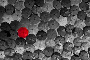 ¿Cómo se diferencian los abogados?