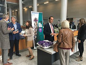 Los abogados valencianos se vuelcan con motivo de la celebración del Día Internacional contra la Violencia de Género