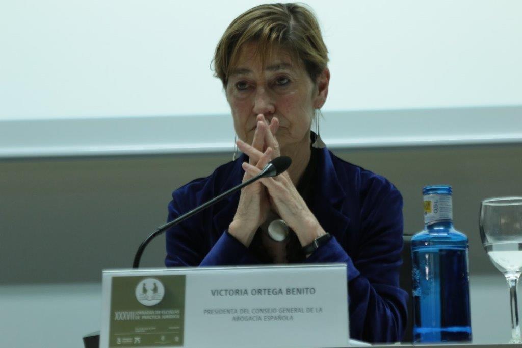 JORNADAS ESCUELAS PRACTICA JURIDICA CIUDAD REAL (6)