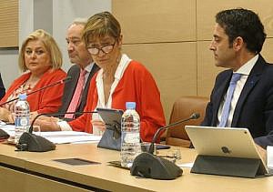 La Asamblea General de UP aprueba el Plan Estratégico 2018-2020