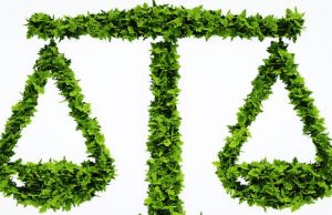 La Fiscalía abrió 2.708 diligencias por delitos contra el medio ambiente y urbanismo en 2018, un 10,53% más que en 2017