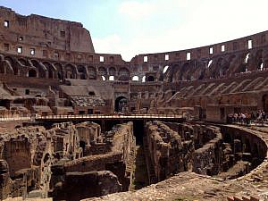 La individualización de la pena. El futuro de las condenas en los delitos de maltrato animal