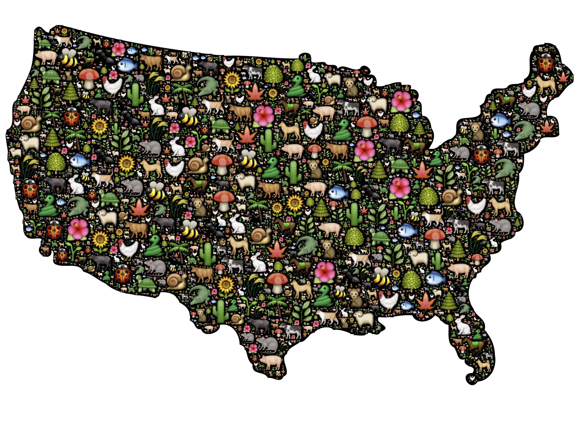 La protección a los animales en el derecho estadounidense: Del “The Massachusetts body of liberties” a la PACT ACT (Preventing Animal Cruelty and Torture Act)