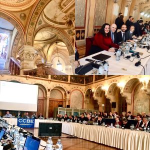 Comité Permanente de la Abogacía Europea en Viena