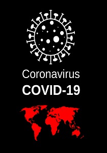 Lectura de urgencia de las reacciones frente al COVID-19 desde la óptica jurídica internacional y comparada