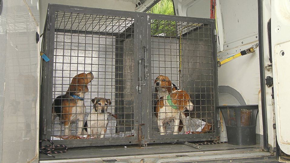 Acción o Inacción de la administración pública. He ahí la clave