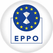 100 días de trabajo de la Fiscalía Europea