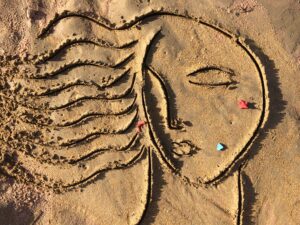 Abogados Emocionalmente Inteligentes: Rompiendo la coraza