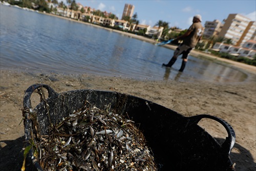 El Mar Menor: ¿Ecocidio? ¿Existe el Derecho Ambiental?