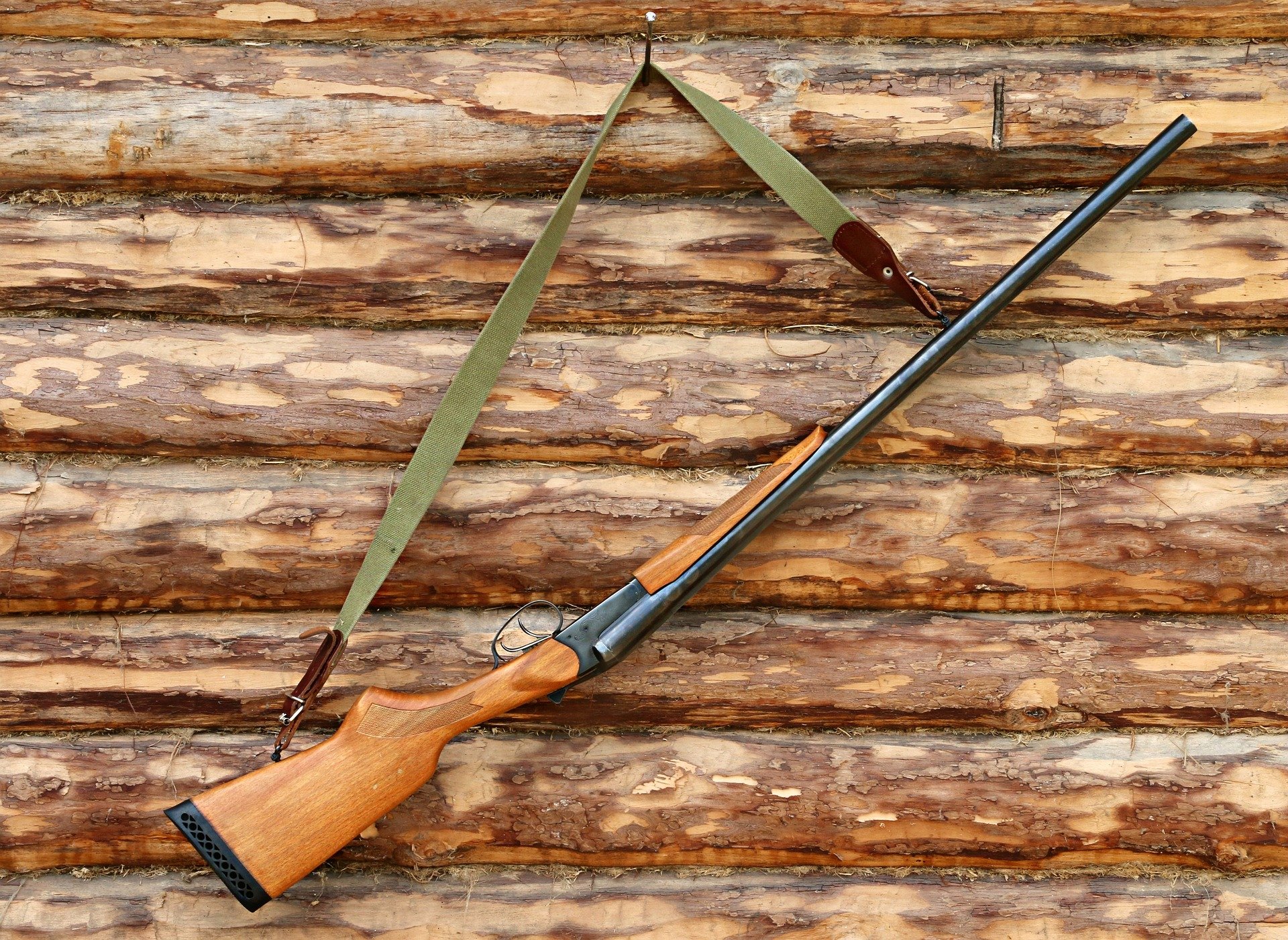 ⊛ Características de las armas para caza menor: ¿Cuáles son las mejores?