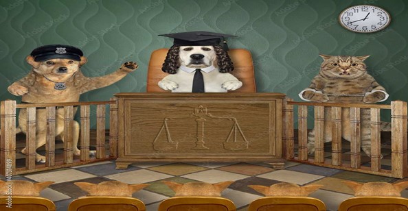El arbitraje en derecho animal. Necesidad de regulación