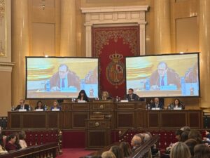Rodríguez Santocildes reivindica ante el Poder Judicial la asistencia letrada preceptiva a las víctimas de maltrato