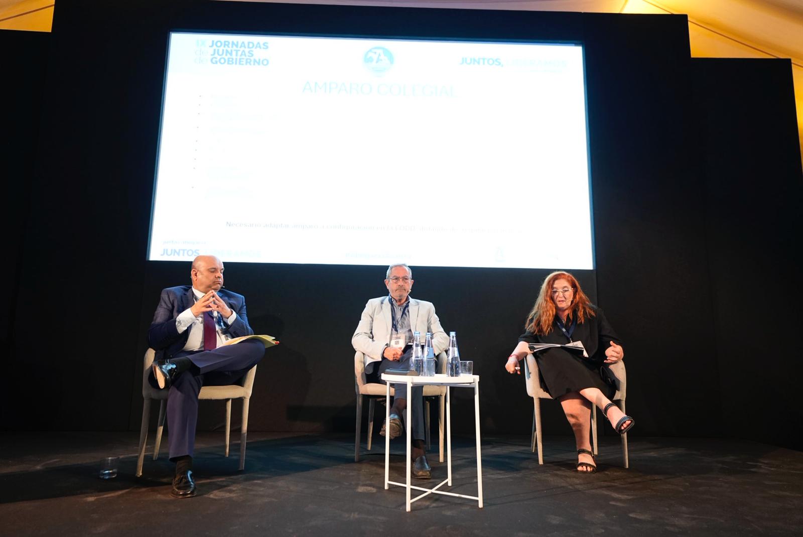 Ildefonso Seller y Blanca Ramos en Ponencia «Aspiraciones del Amparo Colegial»